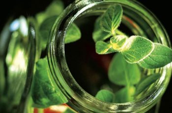 Yeni Sanal Ekolojik Ağ: EKOHARİTA