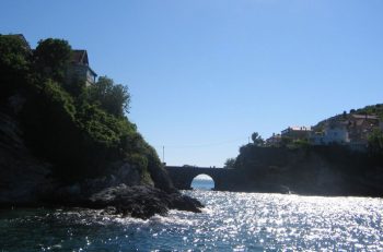 TEMA Başkanı: Termik santraller ciddi bir tehdit