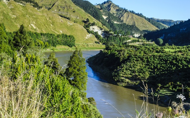 Yeni Zelanda’daki bir nehir “canlı varlık” olarak tanındı