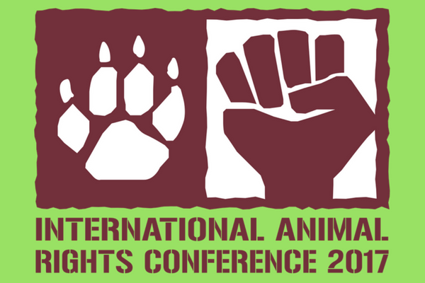 Uluslararası Hayvan Hakları Konferansı’na Sivil Düşün desteğiyle katılabilirsiniz