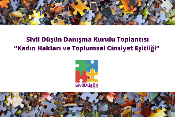 Sivil Düşün ‘Kadın Hakları ve Toplumsal Cinsiyet Eşitliği’ Danışma Kurulu Toplantısı