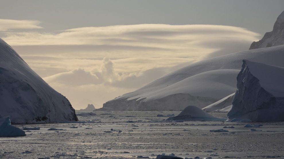 TÜDAV Antarktika Fotoğraf Sergisi Boat Show’da Açıldı
