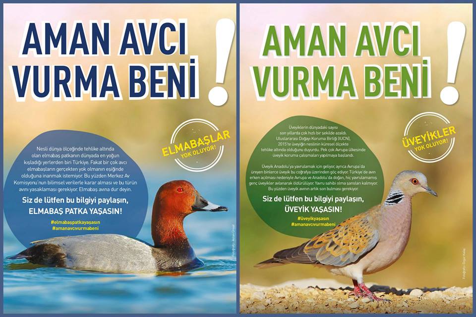 Doğa Derneği Dilekçelerinizi Bekliyor: Aman Avcı Vurma Beni!