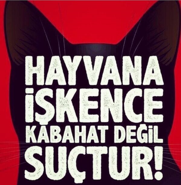 “Hayvanları Korumak için Caydırıcı Ceza Gerekiyor”