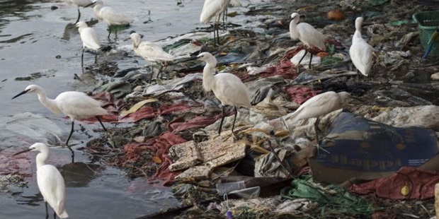 Pasifik’te Türkiye’nin 2 Katı Büyüklüğündeki Çöp Yığınının Temizliği İçin Yeni Sistem Devrede