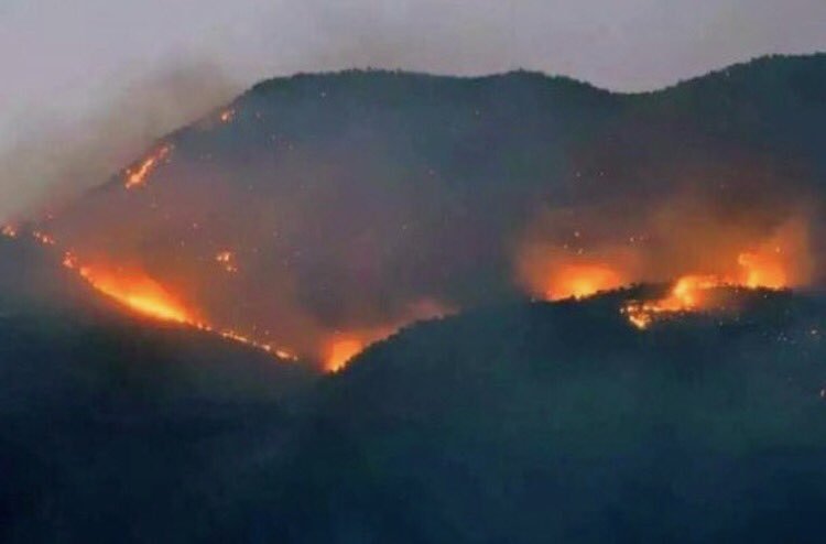 Dersim Yangını