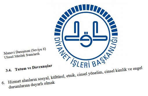 Diyanet Manevi Danışmanlara “Cinsel Yönelim ve Cinsel Kimliğe Duyarlı Olun” Dedi