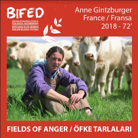 BIFED (Bozcaada Uluslararası Ekolojik Belgesel Festival) Finalistleri Belirlendi