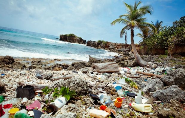 Avrupa Parlamentosu Tek Kullanımlık Plastiklerin Yasaklanması Tasarısını Onayladı