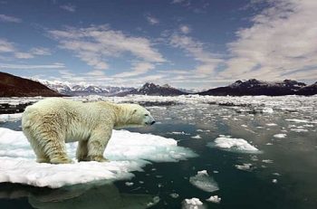 İklim Değişikliğinin Ekonomik Hasarı On Milyarları Buldu