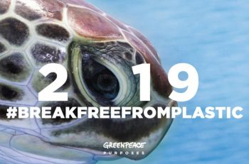 Doğayı Korumak için Greenpeace’in Yeni Yıl Kararları