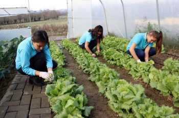 Tarım Lisesi Öğrencileri, Köylülerden Yerli Tohum Toplayıp Üretime Başladı