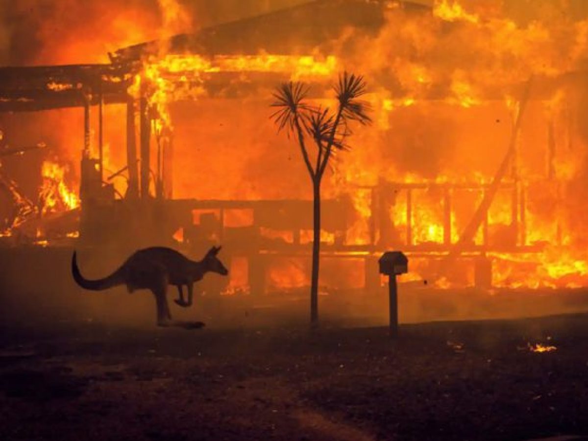 Avustralya&#39;da Orman Yangını Krizi... - Sivil Sayfalar