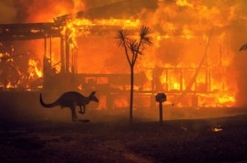Avustralya’da Orman Yangını Krizi…