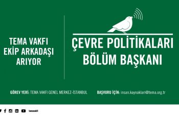 TEMA Vakfı Çevre Politikaları Bölüm Başkanı Arıyor