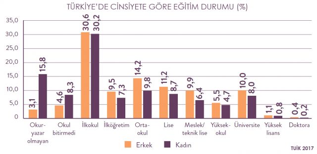 Türkiye'de cinsiyete göre eğitim durumu