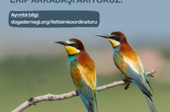 Doğa Derneği İletişim Koordinatörü Arıyor