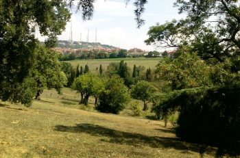 İstanbul’un Son Kent İçi Ormanlarından Validebağ Korusu’nda 22 Yıllık Çevre Mücadelesi