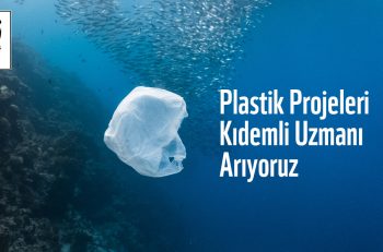 WWF-Türkiye Plastik Projeleri Kıdemli Uzmanı Arıyor