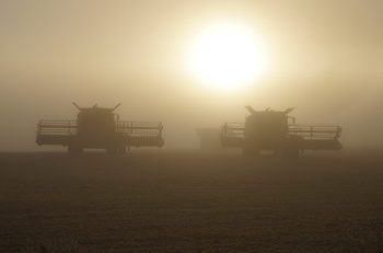 Tarım Sektöründe Sisli Günler: Neler Oluyor?