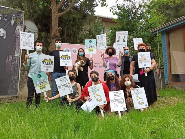 hayvan hakları yasası