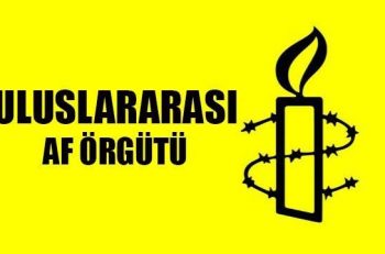 “Türkiye, Terörle Mücadelede Bahanesiyle Sivil Topluma Zarar Veriyor”