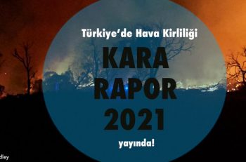 Dark Report 2021: ‘Only 2 Cities in Turkey Have Clean Air’