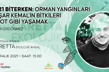 2022 Müjdesi: ‘Yaşar Kemal’in Bitkileri’ Kitap Oluyor