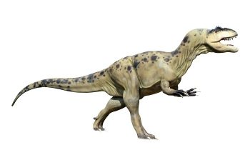 ‘Dinozorlar Dönemindeki Belediyeler de Önlem Alsaydı Şimdi Dinozorlar Yaşayabilirdi’
