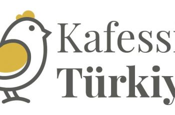 Kafessiz Türkiye Firma İlişkileri Uzmanı / Koordinatörü Arıyor