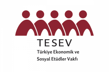 TESEV Proje Yürütücüsü Arıyor