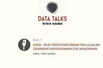 Data Talks: COVID – 19’un Türkiye’deki Roman Toplulukları Üzerindeki Sosyoekonomik Etki Araştırması