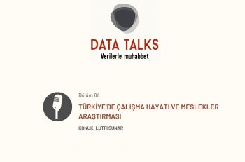 Data Talks: Türkiye’de Çalışma Hayatı ve Meslekler Araştırması