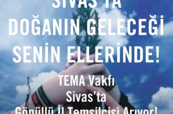 TEMA Vakfı Sivas’ta Gönüllü İl Temsilcisi Arıyor!