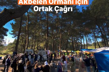 Akbelen Ormanı’nın Korunması için Sivil Toplum Kuruluşlarından Ortak Çağrı!