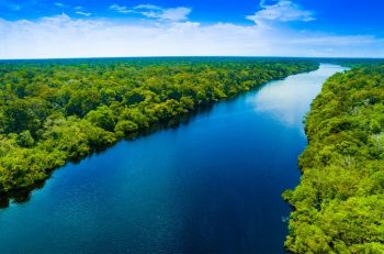 TEMA Vakfı: Barışçıl Bir Dünya için Orman ve Su Varlıklarına İhtiyacımız Var
