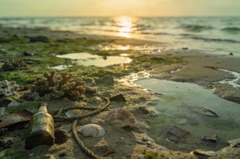 Deniz Çekildiğinde